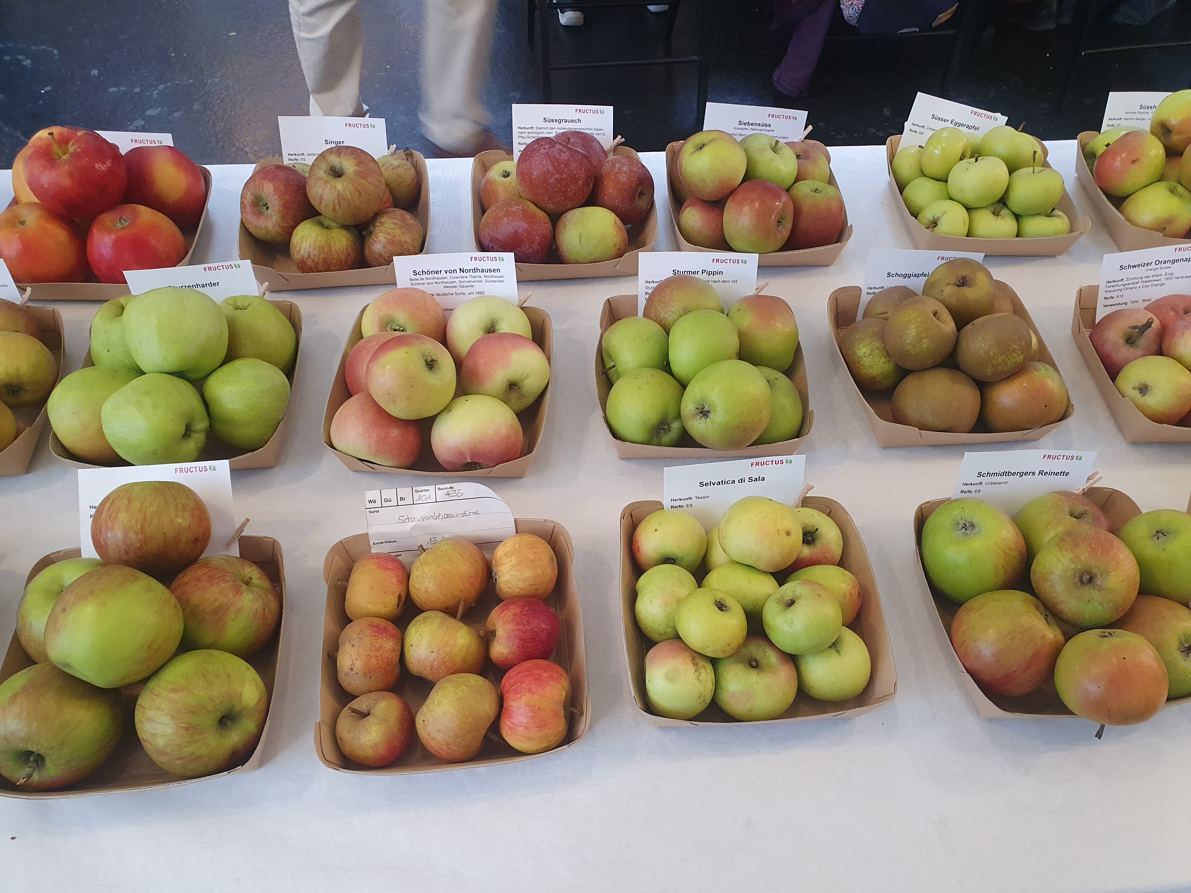 [Translate to French:] 