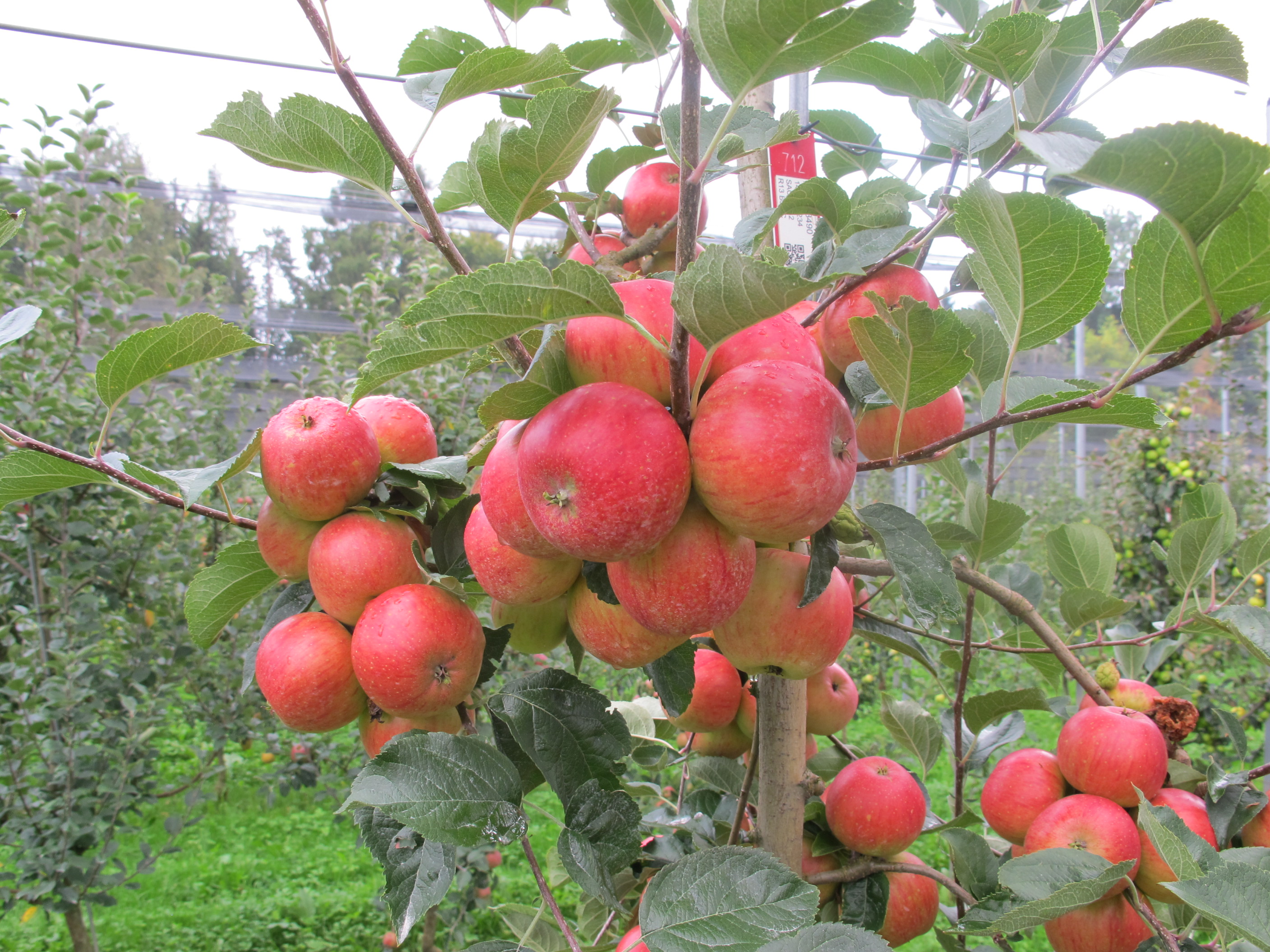 [Translate to French:] 